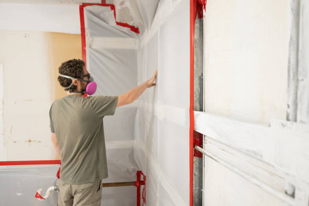 Hanna City, IL Mold Removal Company