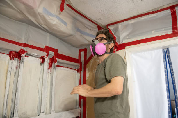 Best Mold Damage Restoration  in Hanna City, IL