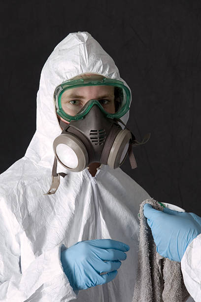 Best Emergency Mold Remediation  in Hanna City, IL